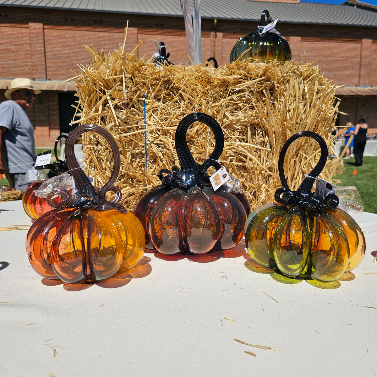 Jolly Lolly | 2024 Pumpkin of the Year