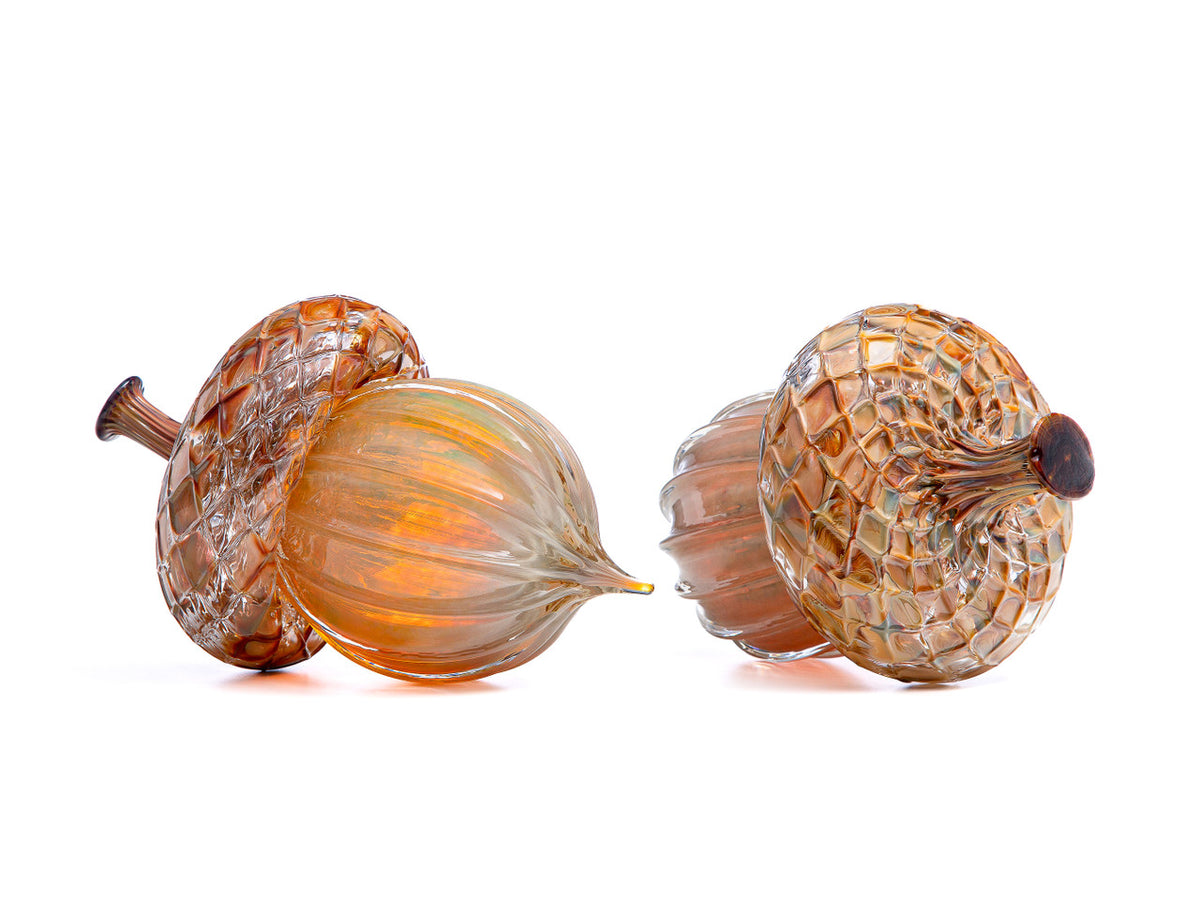 Caramel &amp; Iridescence Acorn