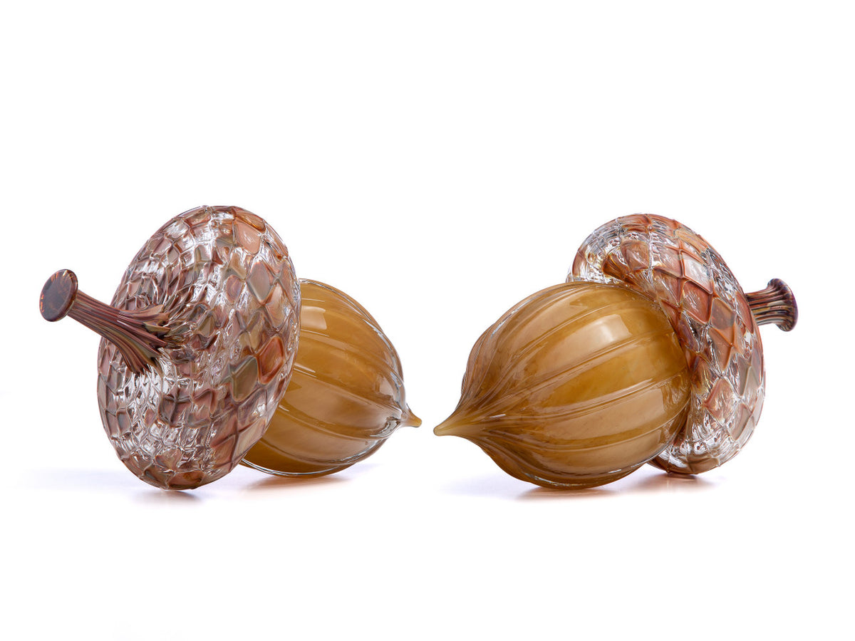 Caramel &amp; Ochre Acorn