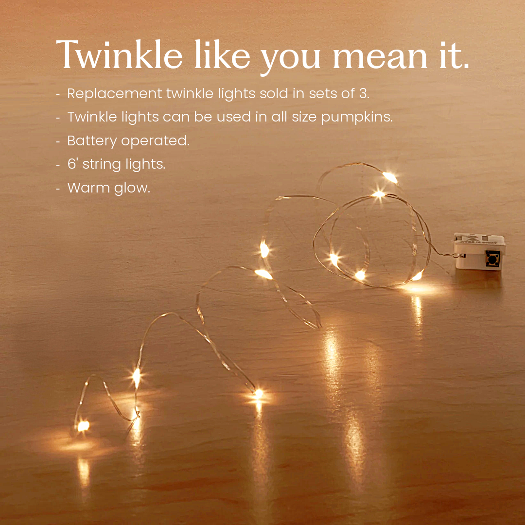 Extra Twinkle Lights